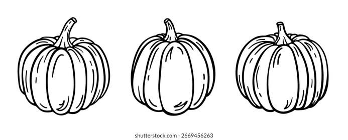 Conjunto de esbozo de dibujo de calabazas, aislado en blanco. Calabazas dibujadas a mano en línea blanca y negra de diferentes formas. Clipart de Vector para ilustración de cosecha de otoño, diseño de mercado de granja o vegetal.