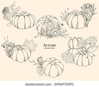 Pumpkins and fall flowers line drawing illustration, hand drawn vector set