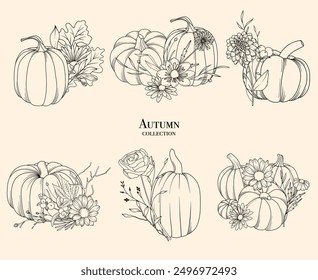 Calabazas y flores de otoño línea de dibujo ilustración, dibujado a mano conjunto de Vector