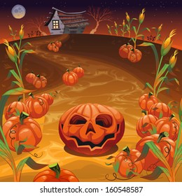 Pumpkins in the field. Funny cartoon and vector Halloween illustration.  