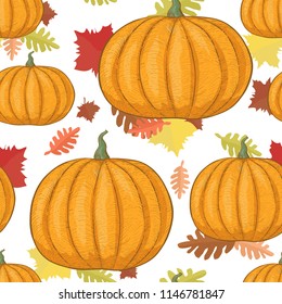 Pumpkins in foliage on a white background - vector seamless pattern. Orange ripe vegetables in the autumn fallen leaves - hand drawing style. Printing on wallpaper, wrapping gifts for Halloween