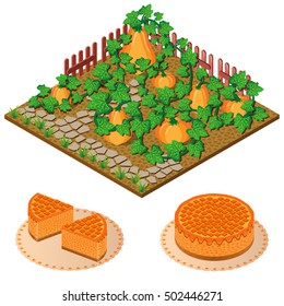 Pumpkins in the garden and pumpkin pie. Vector icon set. Isometric view.
