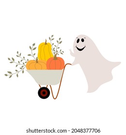 Pumpkins in a garden wheelbarrow. The ghost is carrying the cart. Halloween autumn theme.