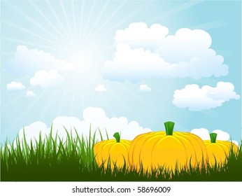 Pumpkins in grass