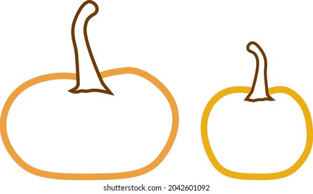 Pumpkins for Halloween or Fall season.