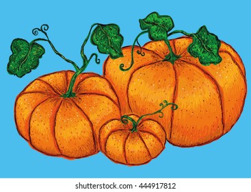 Pumpkins Halloween hand drawn