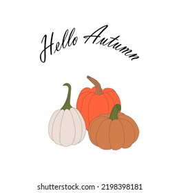 pumpkins, halloween squash, fall harvest gourds. Autumn thanksgiving and halloween pumpkins collection