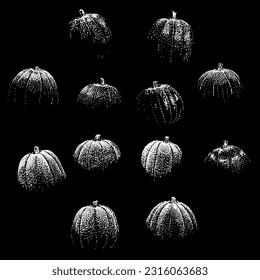 vector de dibujo manual de calabazas aislado en fondo negro.