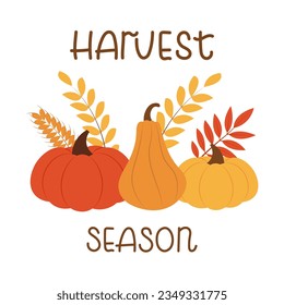 Pumpkins with handwritten text. Vector illustration for postcard of the harvest season