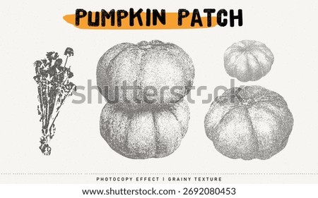 Pumpkins and herbs vector illustration. Trendy stippling photocopy effect
