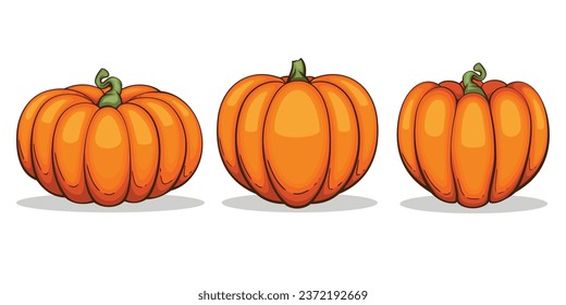 Pumpkins illustration isolated on white. Autumn Thanksgiving Pumpkins arrangement on white background. Colorful Pumpkins Realistic Illustration 