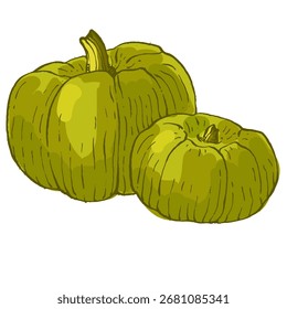 Pumpkins isolated on a white background.