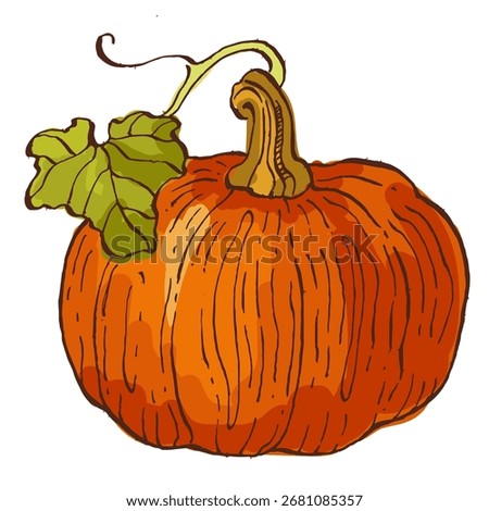 Pumpkins isolated on a white background.