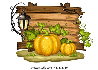 Pumpkins and leaves