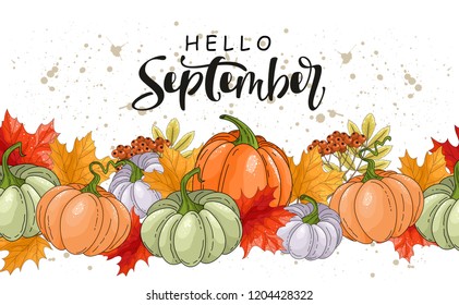 Pumpkins, leaves, acorns with handwritten inscription "Hello September". Vector illustrations for posters, postcards, invitations and more.