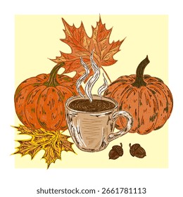 Abóboras, folhas e xícara de café. Texturizado acolhedor outono vetor ilustração em estilo de esboço desenhado à mão, sazonal. Elemento vetorial