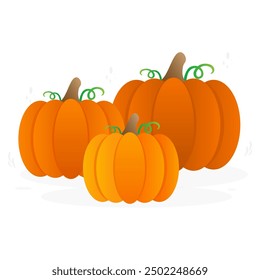 Pumpkins with leaves, group of pumpkins. Autumn pumpkins. Vector illustration