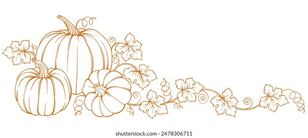 Pumpkins with leaves on white background.