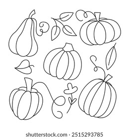 Abóboras e Folhas Set. Coleção de Doodle Squash Sazonal de outono. Outono Colheita Linha Art Gourds Bundle.