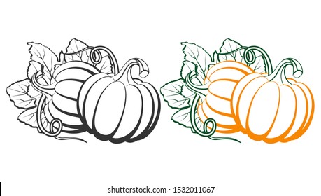 Pumpkins with leaves, silhouette on white background. Vector illustration for Autumn harvest, Harvest Festival or Thanksgiving Day. Environmentally friendly Vegetables. Vector Illustration.