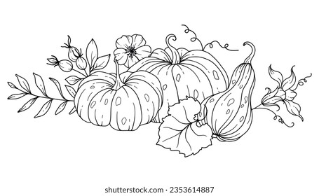 Pumpkins Line Art Illustration, Outline Pumpkin arrangement Hand Drawn Illustration. Coloring Page with Pumpkins.  Thanksgiving Pumpkins set. Thanksgiving Pumpkins set isolated on white