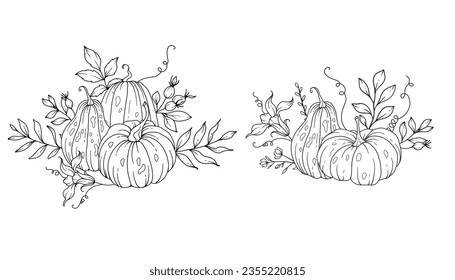 Ilustración de arte de la línea de calabazas, disposición de calabazas de contorno Ilustración dibujada a mano. Coloriendo página con calabazas.  Pumpkins de Acción de Gracias. Calabazas de Acción de Gracias aisladas en blanco