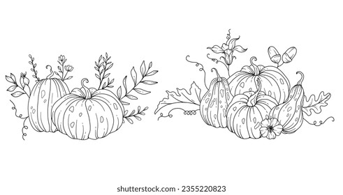 Pumpkins Line Art Illustration, Outline Pumpkin arrangement Hand Drawn Illustration. Coloring Page with Pumpkins.  Thanksgiving Pumpkins set. Thanksgiving Pumpkins set isolated on white