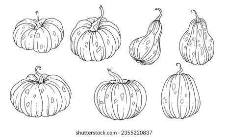 Ilustración de arte de la línea de calabazas, disposición de calabazas de contorno Ilustración dibujada a mano. Coloriendo página con calabazas.  Pumpkins de Acción de Gracias. Calabazas de Acción de Gracias aisladas en blanco