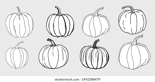 Pumpkins, linear pumpkin, minimalistic, stylish, simple, festival, fall, natural, black and white pumpkin, set, set, vector, 