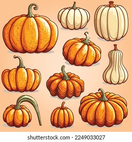 Pumpkins, Pumpkins Lumina, Butternut Squash Isolated in Set of Vector is best use for Halloween