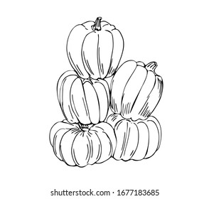 Pumpkins lying downhill in line art style.