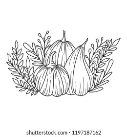 Kürbis mit Wiesen einzeln auf weißem Hintergrund. Handgezeichnete Tintenskizze. Horizontale Vektorgrafik zu Halloween oder Thanksgiving. Gravieren von Retro-Stil