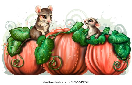 Pumpkins and mice. Wall sticker. Artistic, color, drawn image of three pumpkins and cute mice sitting on them on a white background in watercolor style. Layer group