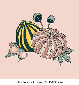 Pumpkins and Mushroom Autumn Vector Isolated Illustration Design