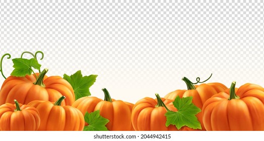 Pumpkins on transparent background. Realistic vector illustration.