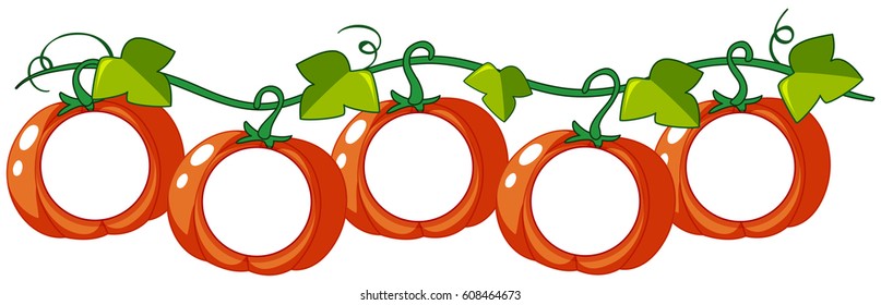 Pumpkins On Vine With Writing Space Illustration