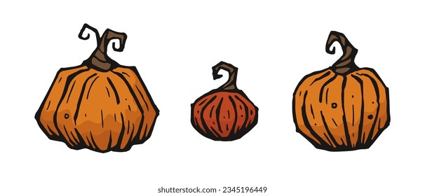 Calabazas sobre fondo blanco. Estilo dibujado a mano.