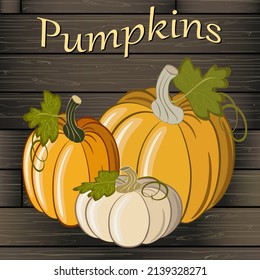 Pumpkins on a wooden background.Colored vector illustration with a set of pumpkins on a wooden background.