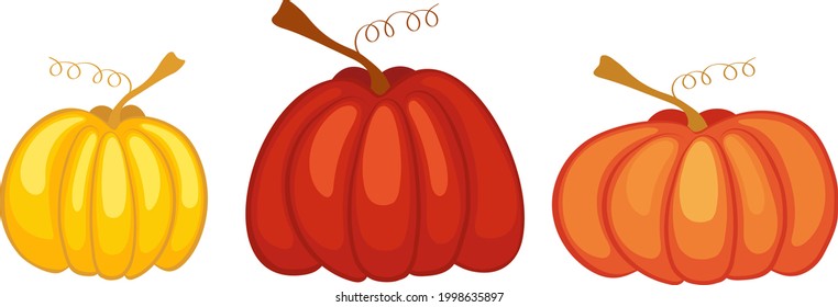 Kürbis Orange für Halloween, flache Vektorgrafik im Cartoon-Stil. Herbsternte von Gemüse in Orange, vegetarische Küche.