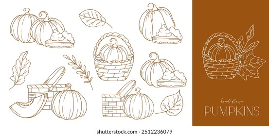 Pumpkins outline isolated on white. Pumpkins line art ilustration. Fall Pumpkins Hand Drawn. Fall Coloring Page. Thanksgiving graphics