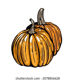 Pumpkins in a rustic sketch style with textured lines and warm orange color. Simple organic composition suitable for farm, autumn and food themes.