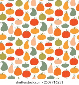 Abóboras padrão sem emenda. Colheita de outono sobre fundo branco. Ilustração de vetor de colheita agrícola