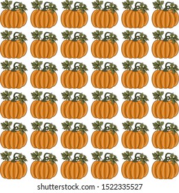 Pumpkins seamless pattern with lettering. Autumn background.