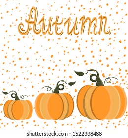 Pumpkins seamless pattern with lettering. Autumn background.
