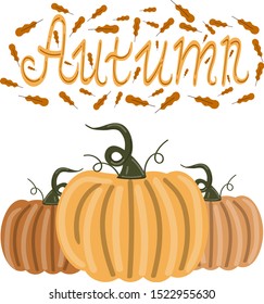 Pumpkins seamless pattern with lettering. Autumn background.