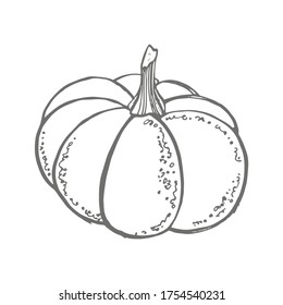 Semillas de calabazas, dibujo de vectores de superalimentos. Ilustración aislada a mano sobre fondo blanco. Alimentos orgánicos saludables. Ideal para banner, afiche, etiqueta, signo