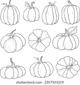 Pumpkins set doodle line art vector illustration, outlined, harvest, october, celebration 