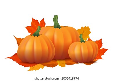 Pumpkins set with falling leaves. Isolated of Autumn pumpkin and leaves. Vector illustration of object element for Autumn season