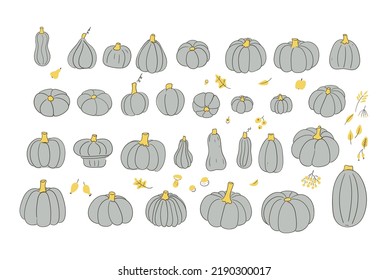 pumpkins set  isolated on white background 