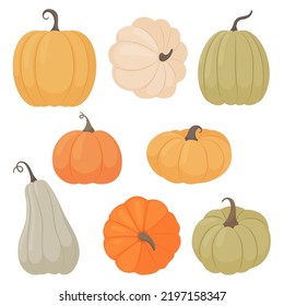 Pumpkins set. A variety of pumpkins in a flat style on a white background.